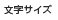 �����T�C�Y