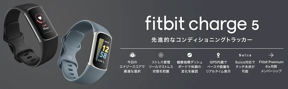 GoogleFitbitCharge5