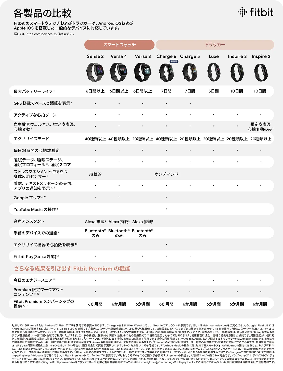 GoogleFitbit比較表
