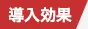 導入効果