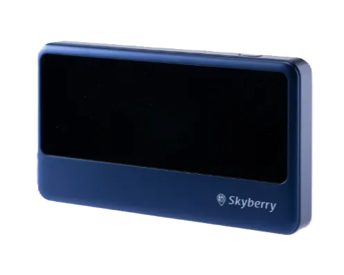 Skyberry ルーター端末