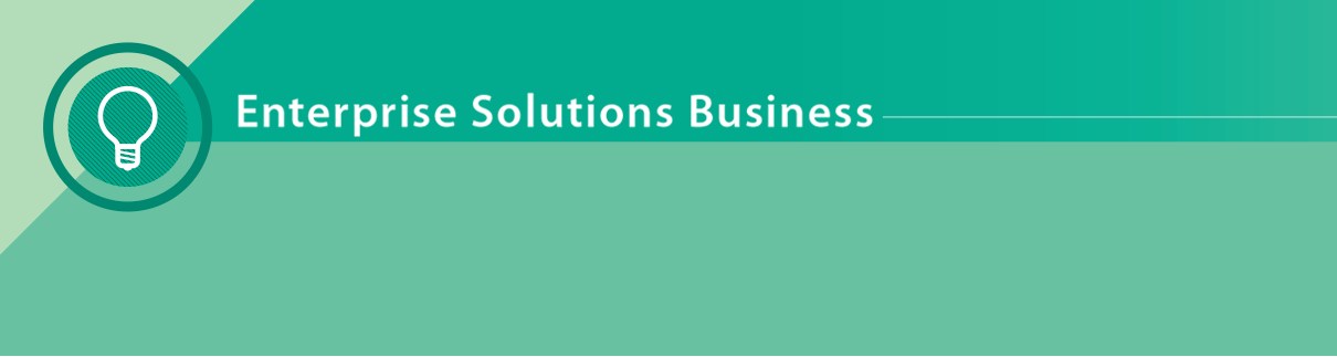 Enterprise Solutions Business